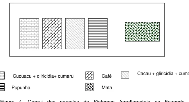 Figura 4. Croqui das parcelas de Sistemas Agroflorestais na Fazenda  Experimental “Ariosto da Riva”  – CEPLAC