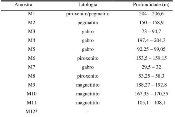 Tabela 1: Litologia e profundidade das 12 amostras coletadas em Maracás - BA. 