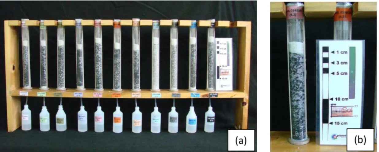 Figura 1: Foto de uma parte do experimento (colunas de lixiviação) (a). Detalhe da disposição  dos materiais no interior das colunas de lixiviação (b)