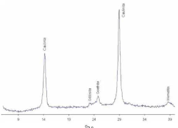 Figura 1. Difratograma com a composição mineralogia da fração argila do solo sob mata