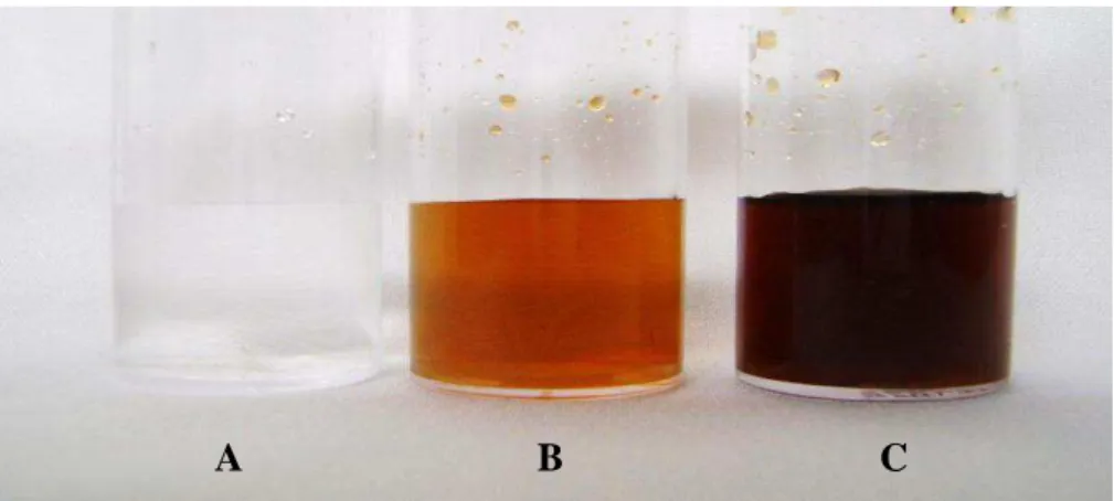 Figura 3. Solução do solo coletada após incubação sem (A) e com aplicação de ureia perolada (1 g kg -1 (B) ou 2 g kg -1 (C))