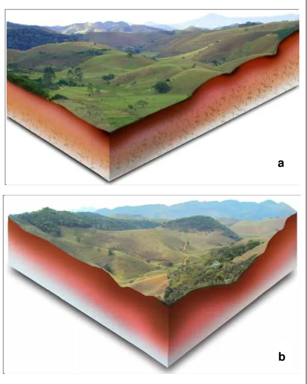 Figura 6. Bloco diagrama evidenciando o escalonamento de morrarias peculiar  às áreas do domínio dos “Mares de Morros” (a; b)