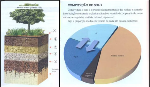 Figura 2 - Perfil e Composição dos solos ilustrados no Livro 11; Ciências BJ – Ed. Revista e Ampliada 6º 