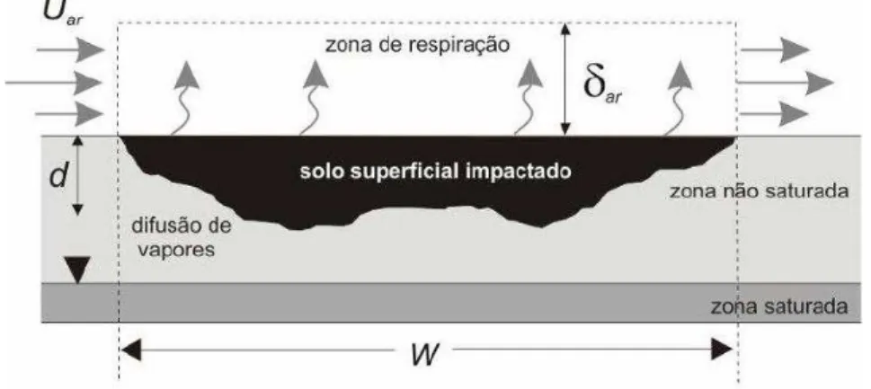 Figura 3  – Modelo conceitual do VFssamb (modificado de Groundwater Services  Inc., 2007)