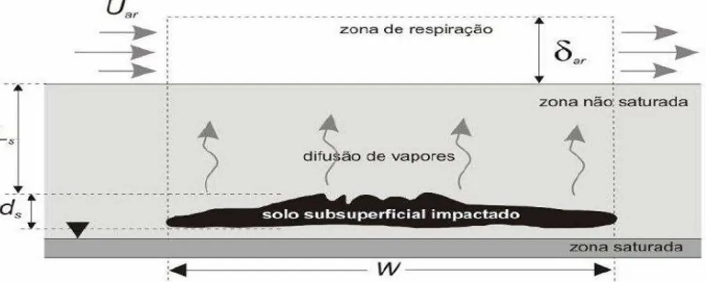 Figura 4  – Modelo de previsão do VFsamb (modificado de Groundwater Services  Inc., 2007)