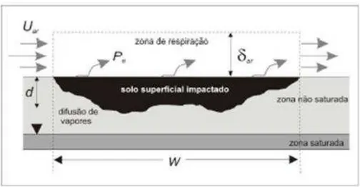 Figura 6  – Modelo conceitual do PEF (modificado de Groundwater Services Inc.,  2007)