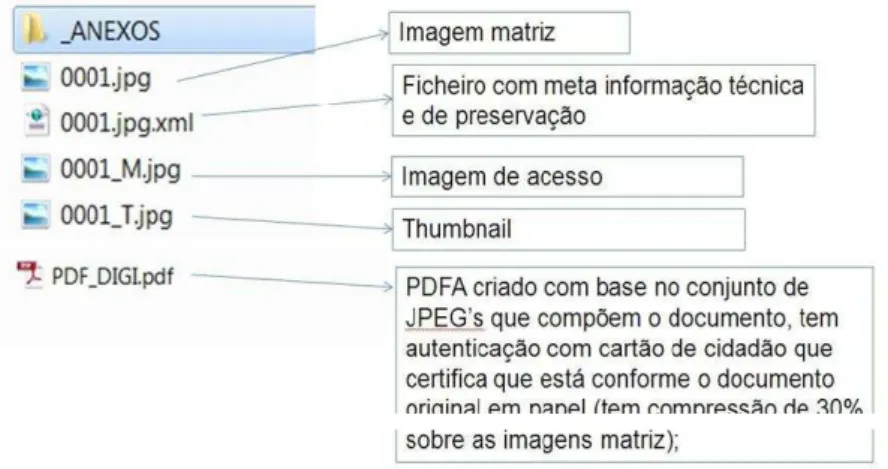 Fig. 5 - Formatos de ficheiros armazenados no repositório digital da CMP 