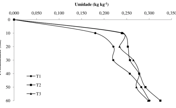 Figura 2. Perfil de umidade (gravimétrica) do substrato, de 0 a 60 cm de profundidade,  para os três tratamentos avaliados em agosto de 2009