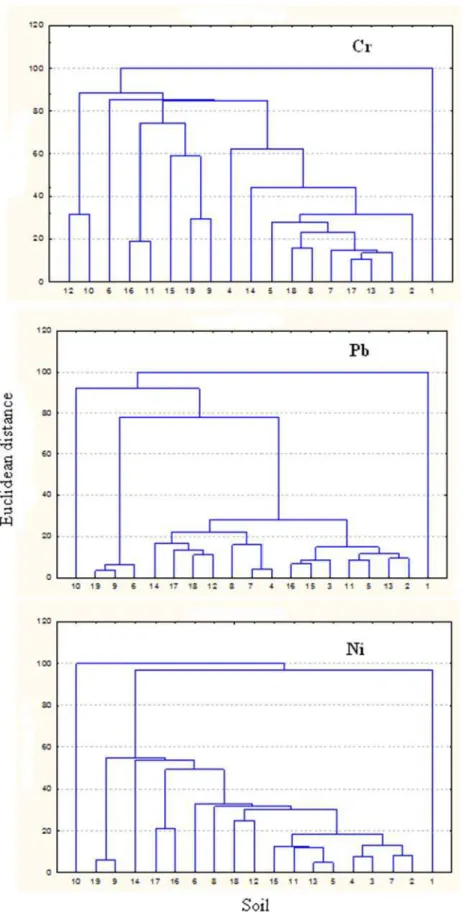 Figura 9. Dendrograma resultante da análise de agrupamento hierárquico, mostrando a  formação de grupos de acordo com a adsorção de Cr, Pb e Ni em solos incubados com 