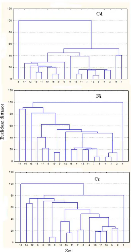 Figura 10. Dendrograma resultante da análise de agrupamento hierárquico, mostrando  a formação de grupos de acordo com a adsorção de Cd, Ni e Cr em solos incubados com  CMA Pb