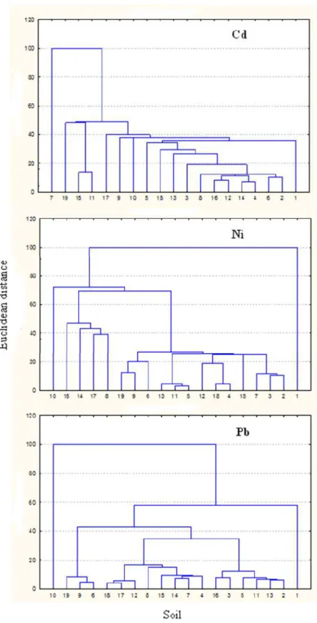 Figura 11. Dendrograma resultante da análise de agrupamento hierárquico, mostrando  a formação de grupos de acordo com a adsorção de Cd, Ni e Pb em solos incubados com 