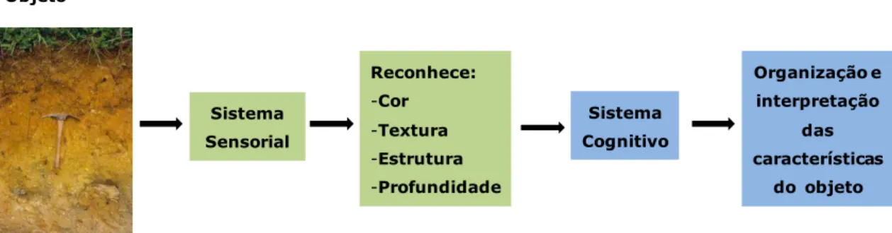 Figura 2. Funcionamento da percepção ambiental. 