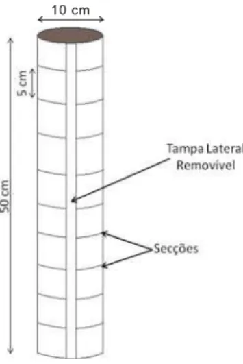 Figura 1  – Esquema da coluna usada nas avaliações experimentais. 
