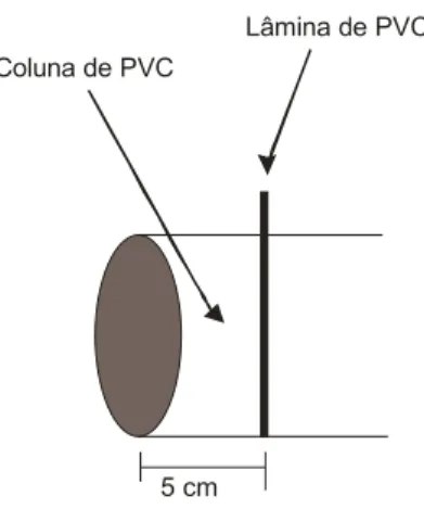 Figura 2  – Esquema do seccionamento da coluna com lâminas de PVC a cada 5 cm. 