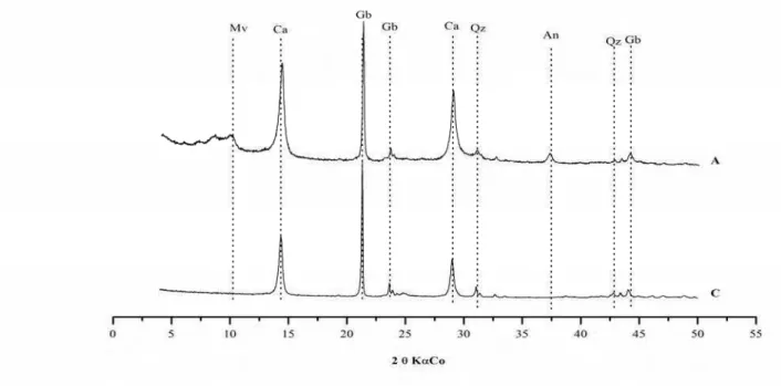 Figura  5.  Difratograma  da  fração  argila  dos diferentes horizontes do Neossolo Flúvico (P6)
