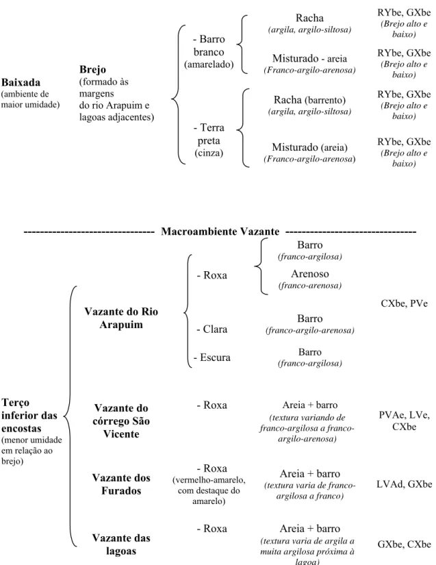 Figura 5.1. Chave de identificação e distinção das unidades de paisagem de Brejo dos Crioulos