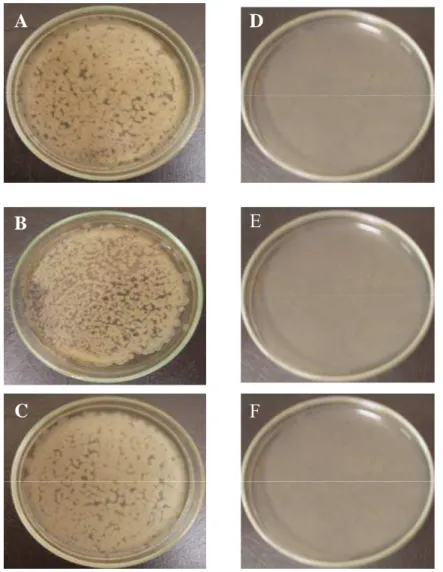 Figura 6. Efeito da bovicina HC5 na germinação de esporos de B. thuringiensis  LMA09 (d), B