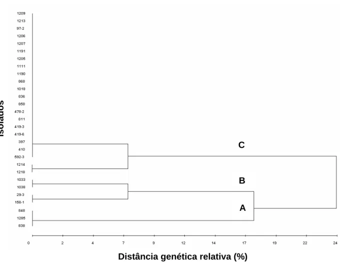 Figura 4. Dendrograma obtido pelo método UPGMA mostrando as relações  genéticas entre isolados de P