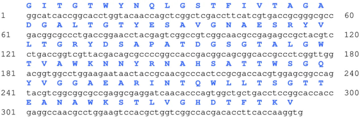 Figura 6: Seqüência de aminoácidos deduzida a partir do fragmento de DNA 