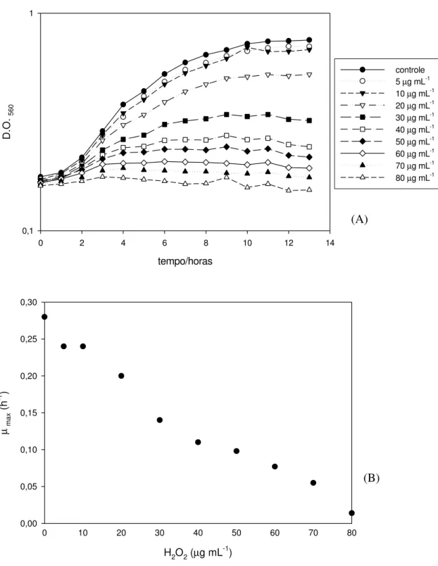 Figura  1  – Efeito do peróxido de hidrogênio sobre o crescimento de  Lactobacillus 