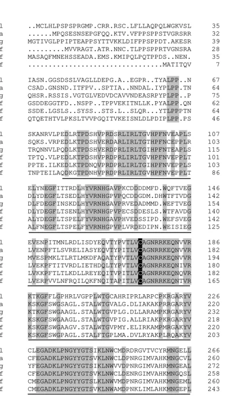 Figura 6  – Alinhamento da proteína nitrato redutase de  C. lindemuthianum  com proteínas de outros fungos 