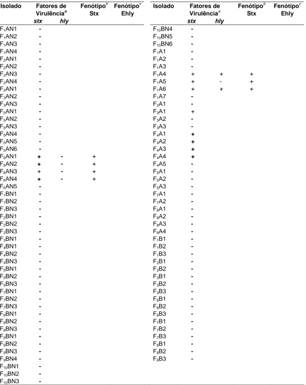 Tabela 2A – Características  dos  isolados  de  E. coli provenientes de fezes  bovinas  Fatores de  Virulência a Fenótipo bStx  Fenótipo cEhly  Isolado Fatores de Virulênciaa Fenótipo bStx  Fenótipo cEhly Isolado  stx  hly  stx hly  F 1 AN1         -      