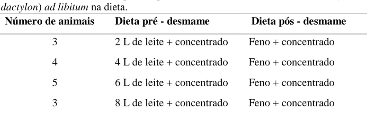 Tabela  1  –  Esquema  de  alimentação  dos  animais  utilizados  nos  experimentos.  Os  animais  foram  alimentados  com  ração  concentrada  e  as  quantidades  de  leite  indicadas  até  o  desmame,  quando  passaram  a  receber  feno  Coast  cross  (C