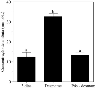 Figura 7  – Concentração de amônia (mmol/L) no rúmen de bezerros de três dias de  idade, ao desmame e 30 dias após o desmame