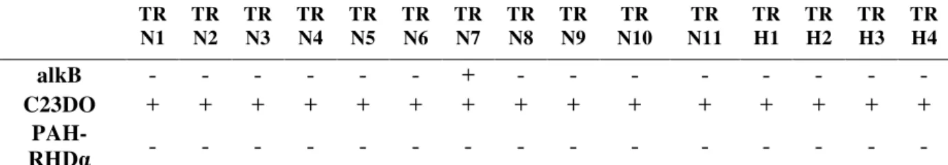 Tabela  3.  Presença  de  genes  de  vias  de  degradação  de  hidrocarbonetos  para  os  15  isolados da Ilha da Trindade obtidos por PCR