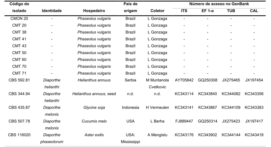 Tabela 2. Fungos do gênero Phomopsis/Diaporthe utilizados neste trabalho. 