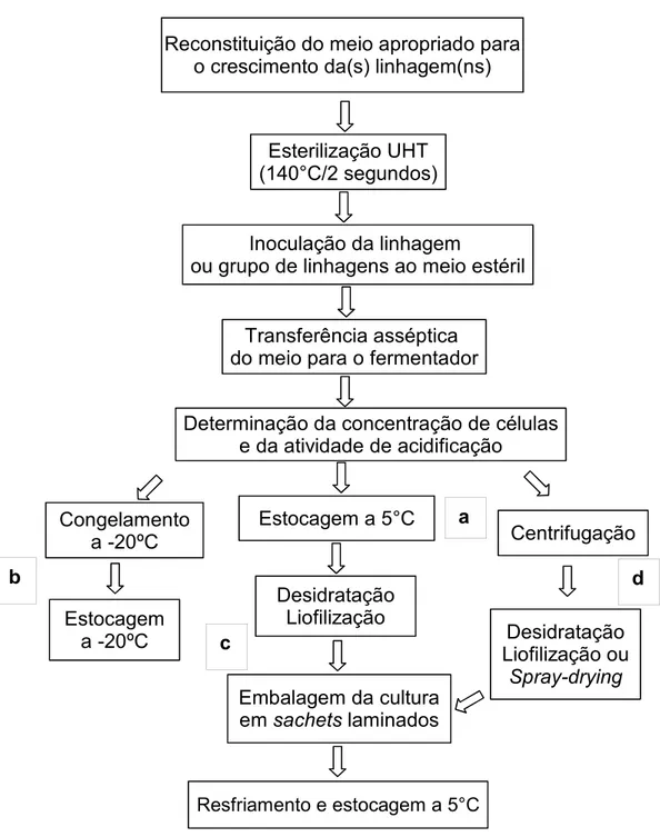 Figura 1. Evolução dos processos para produção de culturas starter (PEPPLER &amp; PERLMAN, 1979), onde: a – cultura líquida; b – cultura congelada;