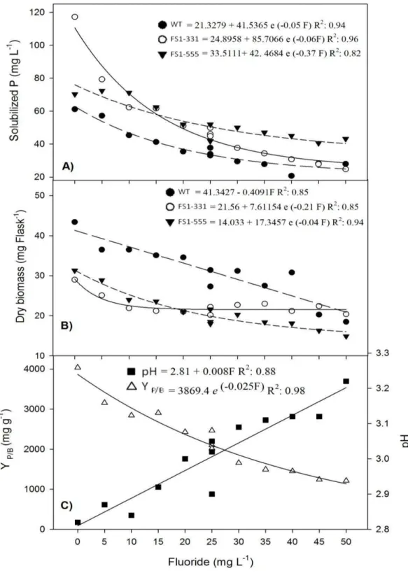 Figure  3:  (A)  Solubilized  P  and  (B)  dry  biomass  produced  by  the 