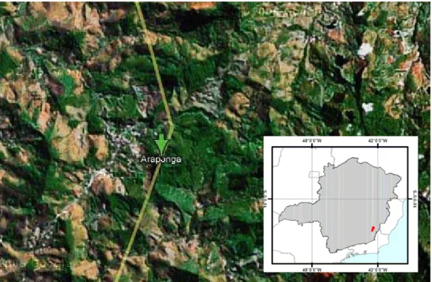 Figura 2: Imagem por satélite referente à região do município de Araponga, cidade  da Zona da Mata Norte do Estado de Minas Gerais, Brasil, compreendida  entre as coordenadas 42°36’35” W a 42°22’48” W de longitude, e  20°34’12” S a 20°46’48” S de latitude