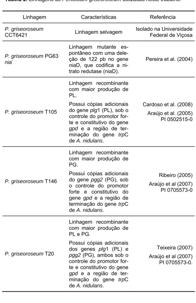 Tabela 2. Linhagens de Penicillium griseoroseum utilizadas neste trabalho.  