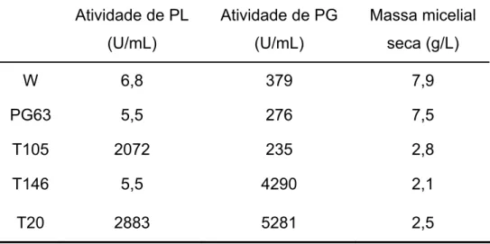 Tabela 7. Produção de PL, PG e massa micelial seca pelas linhagens  de  P.  griseoroseum selvagem e mutante PG63, cultivadas em sacarose 15 g/L e  extrato de levedura 0,6 g/L e recombinantes T146, T105 e T20, cultivadas em  sacarose 15 g/L