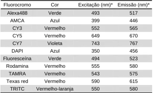 Tabela 2  - Principais fluorocromos utilizados na técnica de FISH (MOTER e  GÖBEL, 2000)