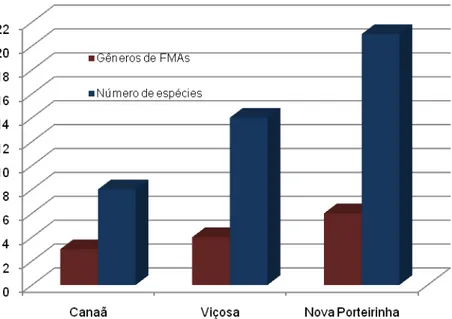 Figura 2. Número de gêneros e espécies de FMAs nas áreas de Canaã,  Viçosa e Nova Porteirinha associados à cultura do pinhão-manso