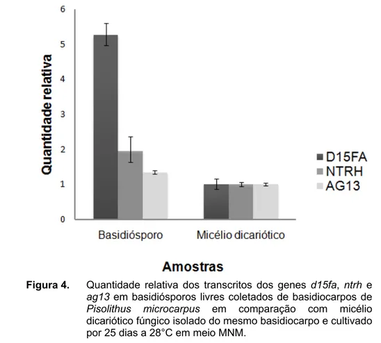 Figura 4.  Quantidade relativa dos transcritos dos genes d15fa,  ntrh e 
