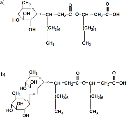 Figura 1.3. Estrutura das moléculas de monoramnolipídeo (a) e diramnolipídeo (b)  produzidas por P