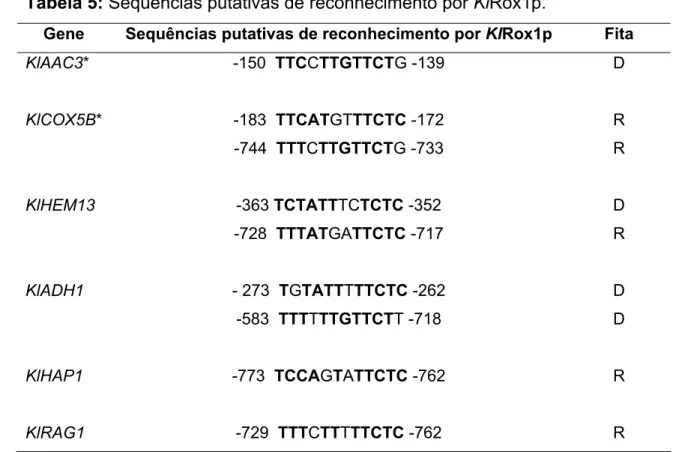 Tabela 5: Sequências putativas de reconhecimento por KlRox1p.  