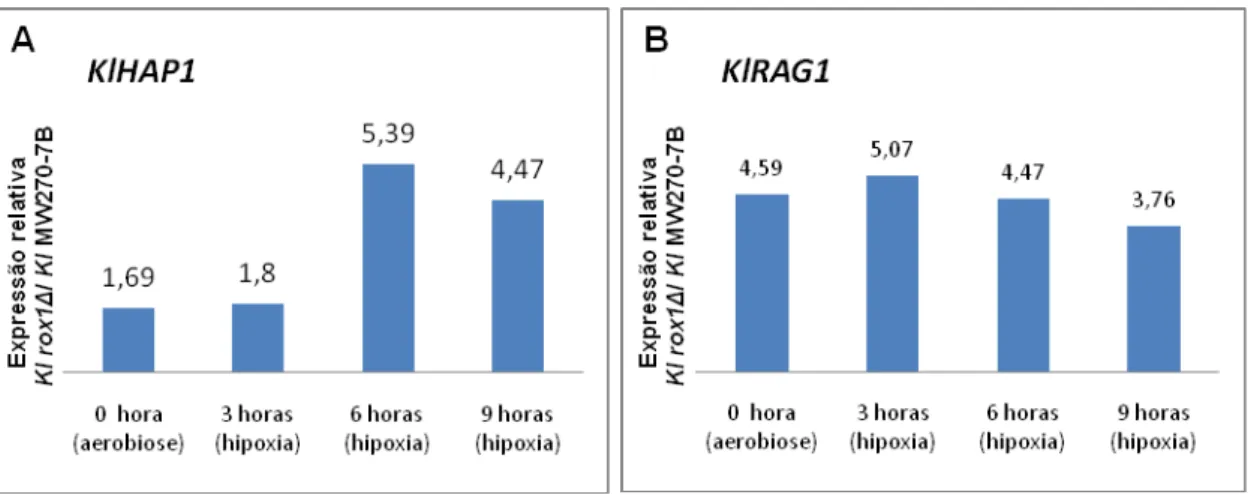 Figura 9: Expressão relativa K. lactis rox1 Δ/ K. lactis MW270-7B dos genes (A) 