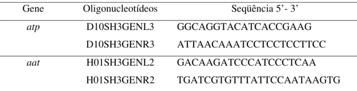 Tabela  1.  Oligonucleotídeos  utilizados  para  amplificação  de  seqüências  genômicas  de 