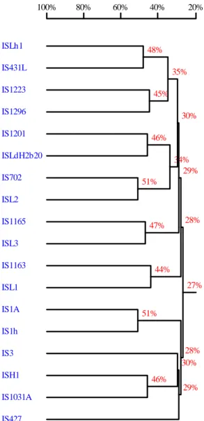 Figura 2 – Árvore de homologia tendo como base de comparação as seqüências de  nucleotídeos de várias famílias de IS e a de ISLdH2b20