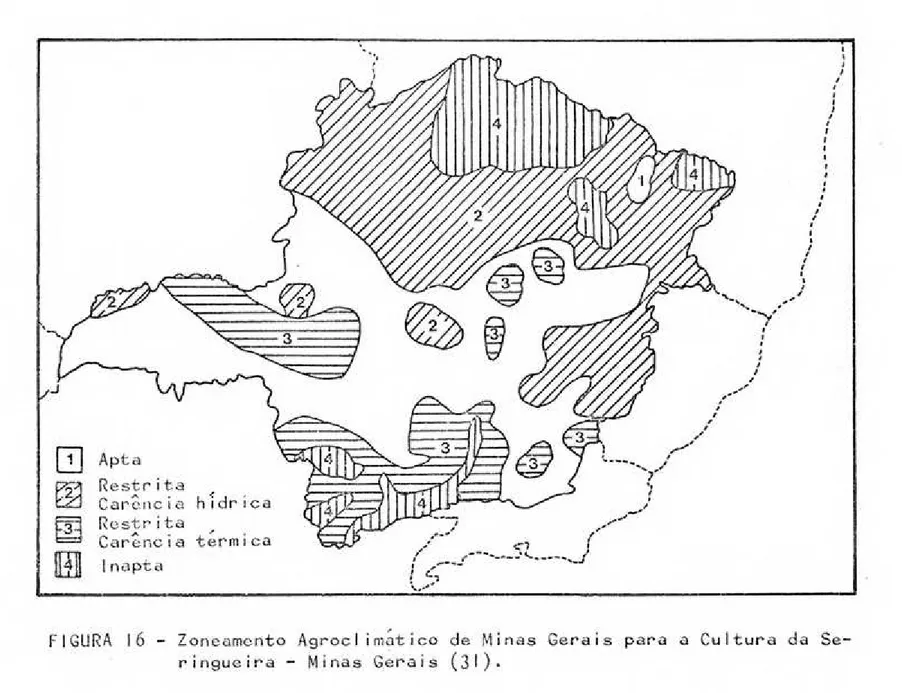 FIGURA 16 - Zoneamento Agrocl im~tico de Minas Gerais para a Cultura da Se- Se-ringueira - Minas Gerais (31).