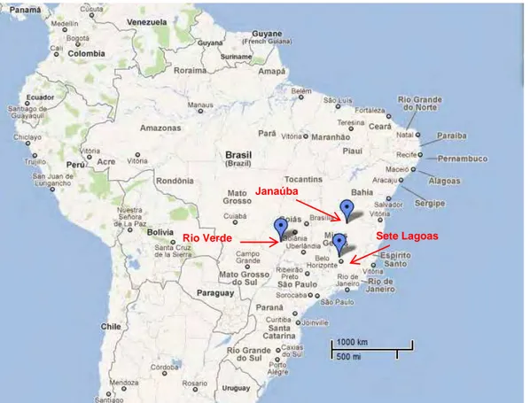 Figura 1.5. Mapa do Brasil com destaque para os três municípios onde foram 