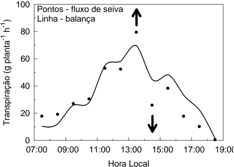 Figura  5.11.  Transpiração  horária  da  cana-de-açúcar,  sob  alterações  severas  das  condições  de  nebulosidade,  no  dia  30  de  outubro  de  2009