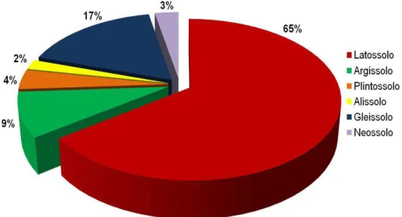 Figura  01  –  Percentual  dos  diferentes  tipos  de  Solo  da  FLONA  Caxiuanã.  [Fonte: Costa, 2009]