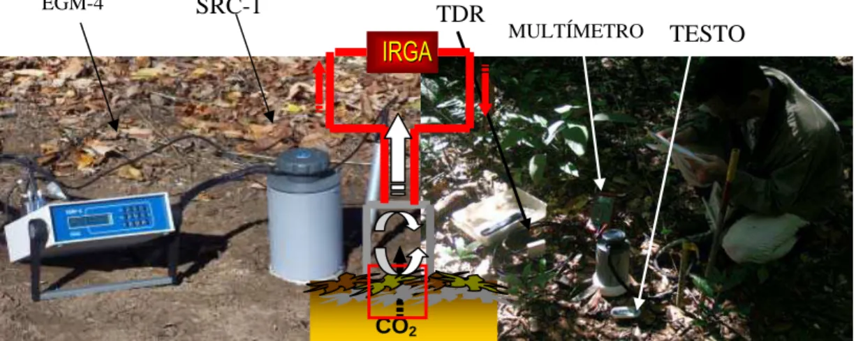 Figura 6. Medição de respiração do solo no campo com o analisador de gás 