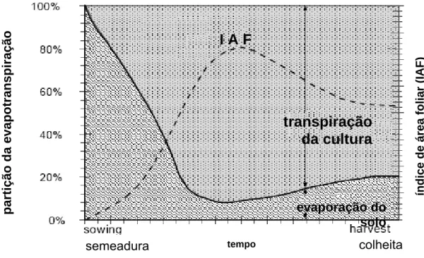 Figura 1 - Partição da evapotranspiração em evaporação e transpiração de uma cultura anual