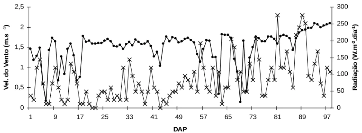 Figura 6 - Velocidade do vento e radiação durante o ciclo da cultura. Fazenda  São Geraldo - São Gonçalo do Sapucaí - MG, 2007